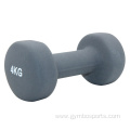 GymTraining Weight Lifting Fitness PVC Coated Dumbbell